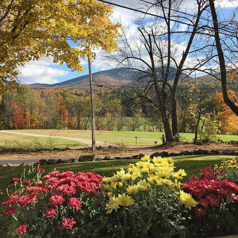 Carter Notch Inn Jackson Eksteriør billede